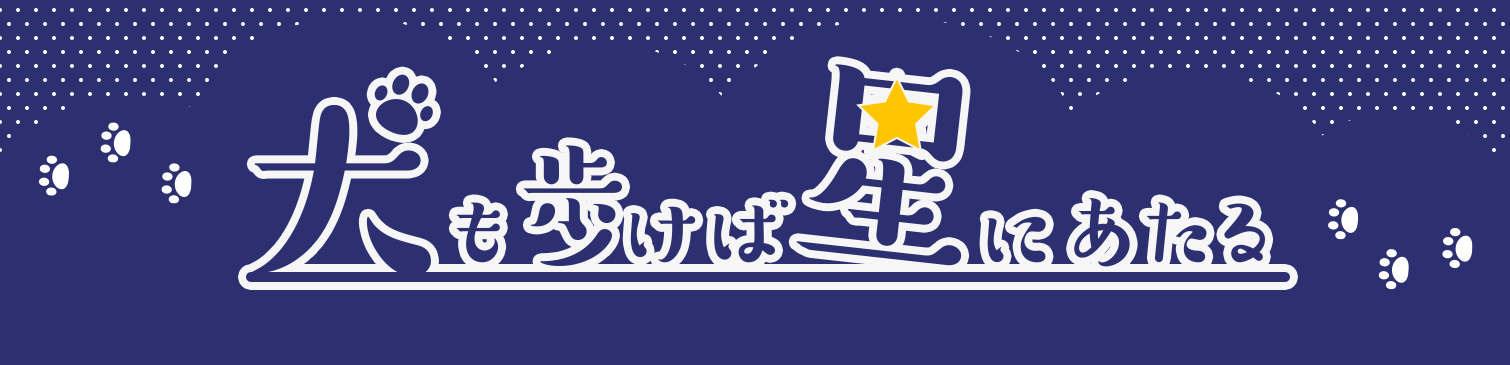犬も歩けば星にあたる(株式会社テルミック様)
